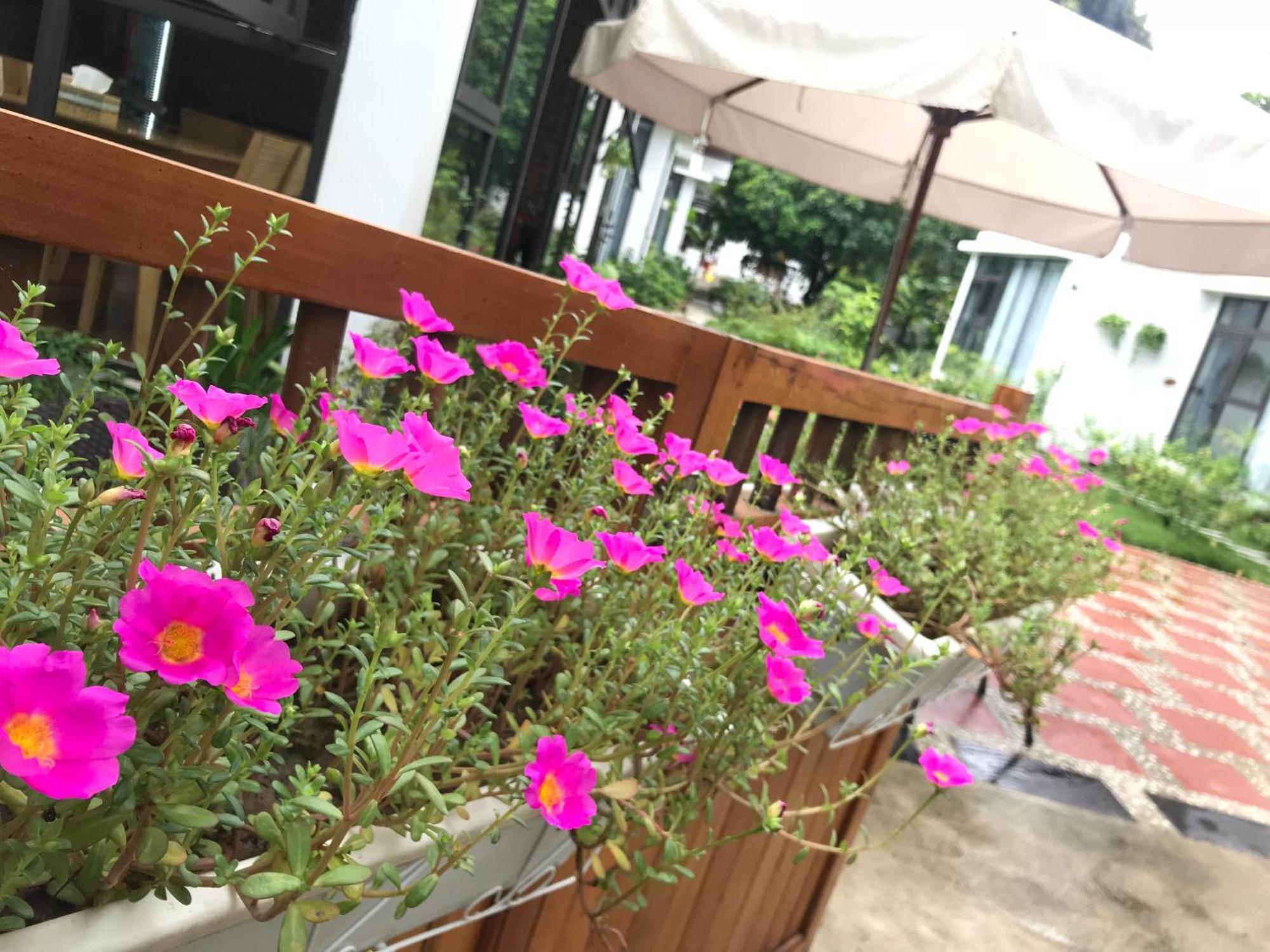 Tam Coc Boutique Garden Hotel Нин Бин Екстериор снимка